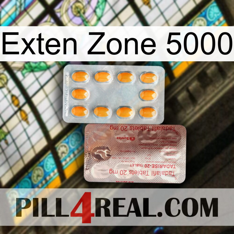 Exten Zone 5000 new13